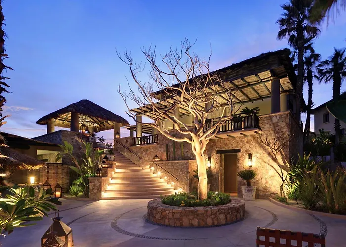 Resort Esperanza, Collection